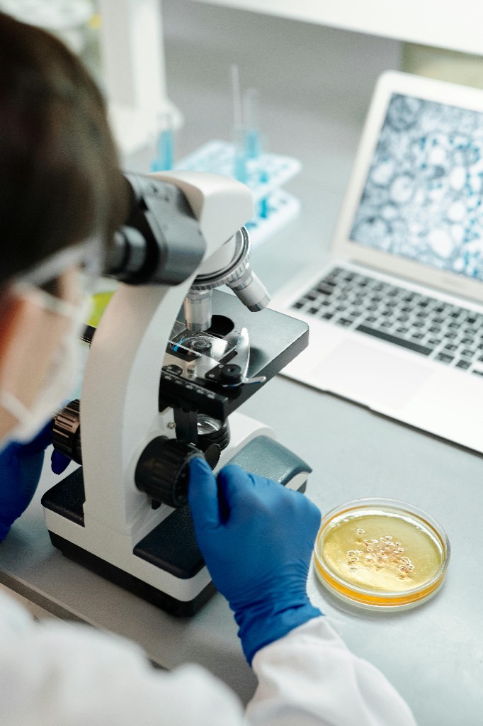 BIO 210 Microbiology w/ Lab