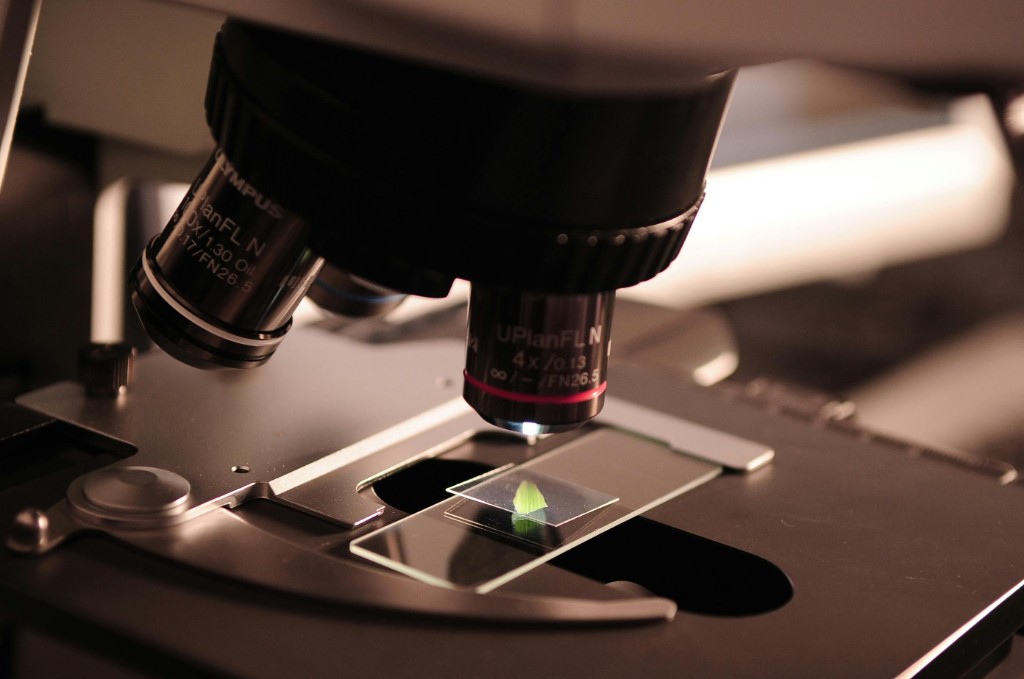 Microbiology Lab (BIO250L)