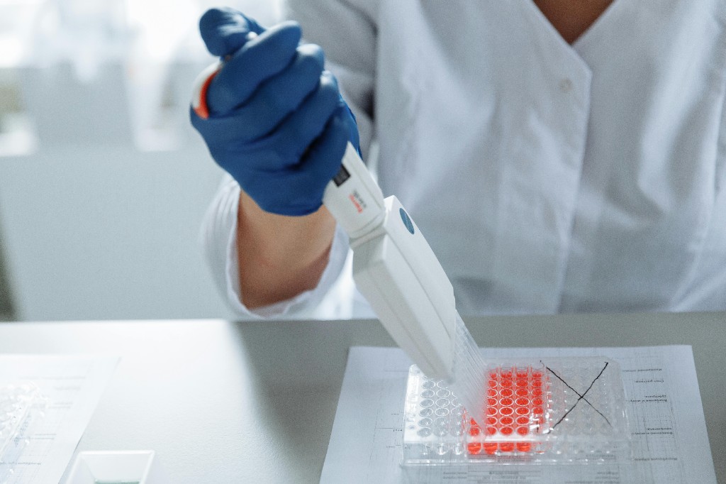 Principles of Genetics (BIO210)