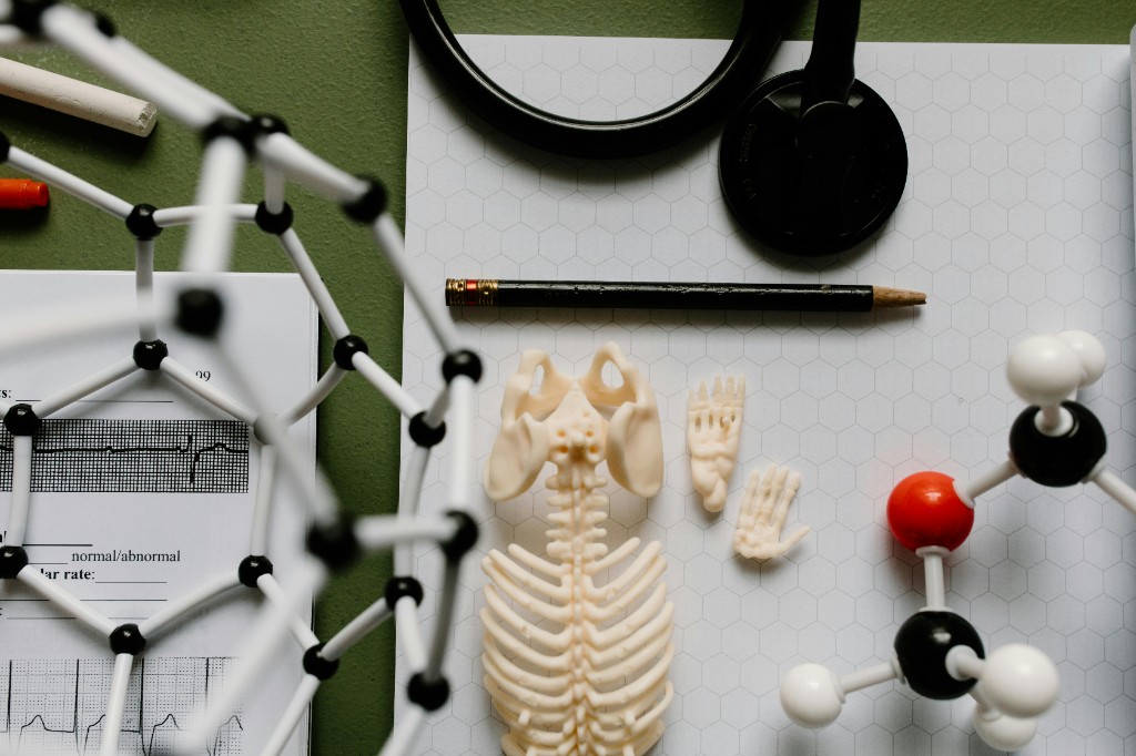 Biology 106: Pathophysiology